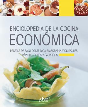 Cover of the book Enciclopedia de la cocina económica by Andrea Benigni, Mirko  Ferrari