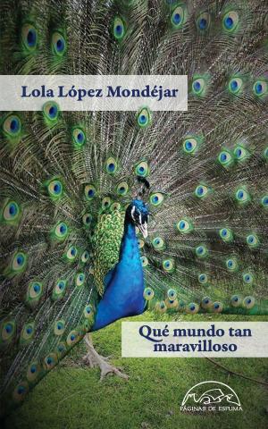 Cover of the book Qué mundo tan maravilloso by Marta Sanz