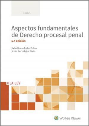 Cover of the book Aspectos fundamentales de derecho procesal penal (4.ª Edición) by Andy B