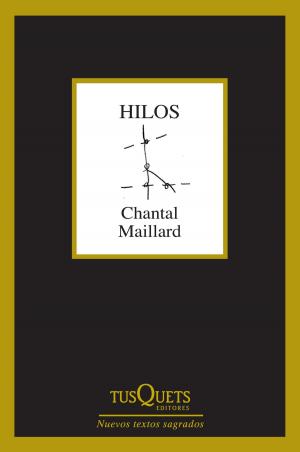 Book cover of Hilos