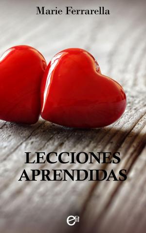 Cover of the book Lecciones aprendidas by Christine Rimmer