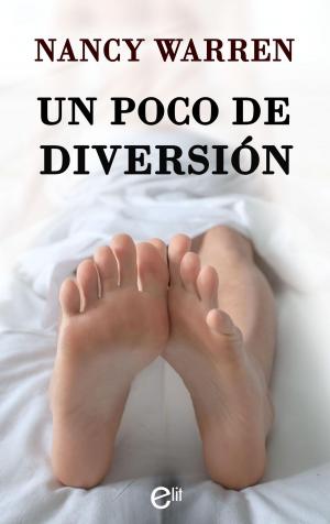 Cover of the book Un poco de diversión by B.J. Daniels