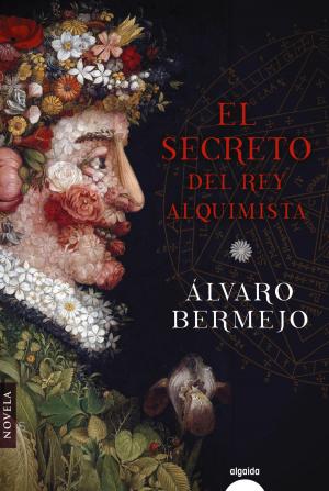 Cover of the book El secreto del rey alquimista by Tony Roberts