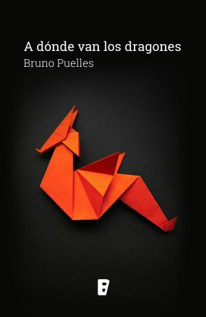 Cover of the book A dónde van los dragones by Paul Preston