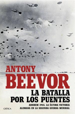 Cover of the book La batalla por los puentes by Bárbara Tovar