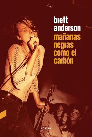Book cover of Mañanas negras como el carbón