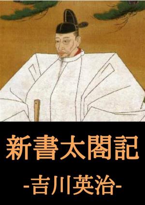Cover of the book 新書太閤記 by 菊池 寛