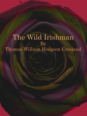 Cover of the book The Wild Irishman by Robert Buchanan