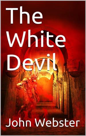 Cover of the book The White Devil by Nathaniel Hawthorne