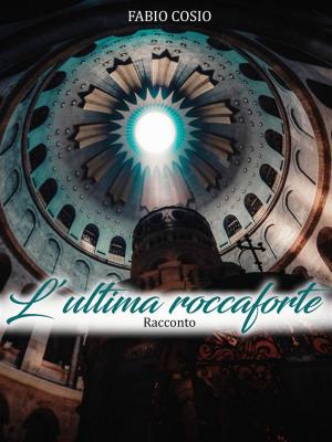 Cover of the book L'ultima roccaforte by Tommy Ray