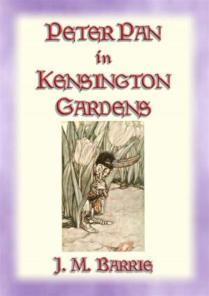 Book cover of PETER PAN IN KENSINGTON GARDENS - Baby Peter's First Adventure