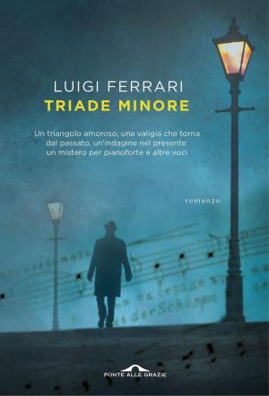 Cover of the book Triade minore by Michel Onfray