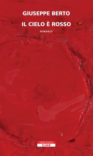 Cover of the book Il cielo è rosso by Alejandro Palomas