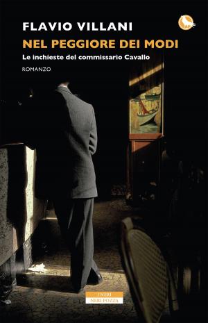 Cover of the book Nel peggiore dei modi by Lionel Shriver