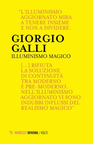 Cover of the book Illuminismo magico by Massimo Donà