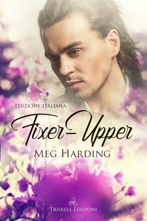 Cover of the book Fixer-Upper by Lisa Henry & J. A. Rock