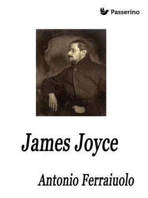 Cover of the book James Joyce by Emilio Salgari