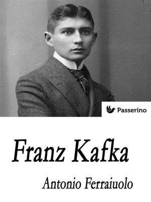 Book cover of Franz Kafka