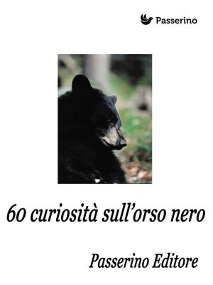 Cover of the book 60 curiosità sull'orso nero by Cheryl Katz, Jeffrey Katz