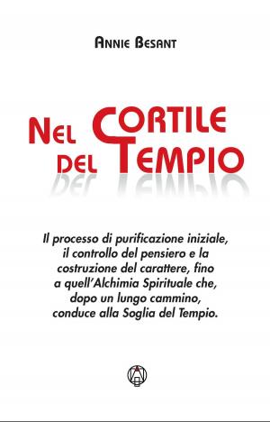Cover of the book Nel cortile del tempio by Teresa Sintoni