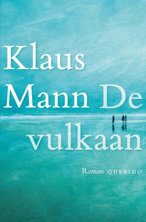 Cover of the book De vulkaan by Robert Haasnoot