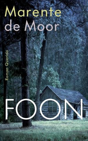 Cover of the book Foon by Anna Krijger