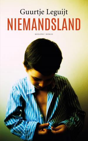 Cover of the book Niemandsland by Andries Zoutendijk
