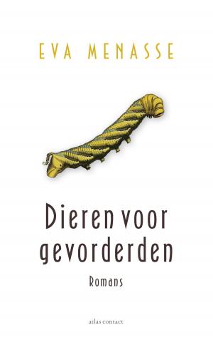 Cover of the book Dieren voor gevorderden by Jeanette Winterson