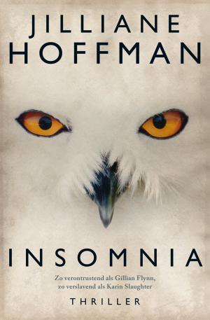 Book cover of Insomnia