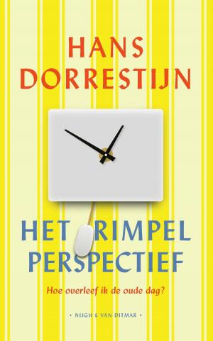 Cover of the book Het rimpelperspectief by Britta Bolt, Rodney Bolt