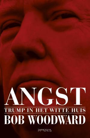 Book cover of Angst