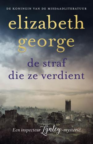 Cover of the book De straf die ze verdient by Gérard de Villiers