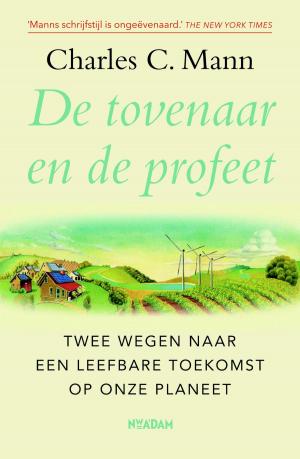 Cover of the book De Tovenaar en de Profeet by Femke van der Laan