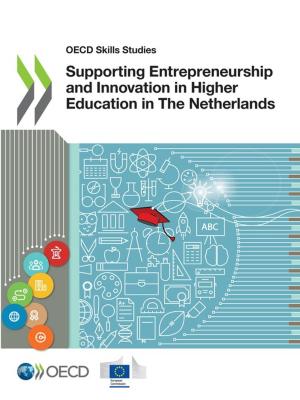 Cover of the book Supporting Entrepreneurship and Innovation in Higher Education in The Netherlands by Collectif