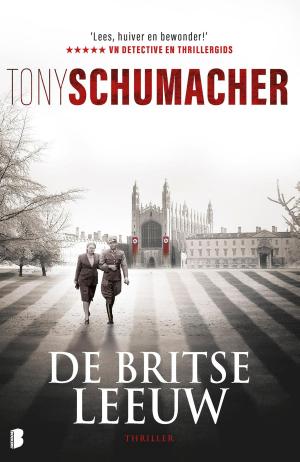 Cover of the book De britse Leeuw by Ion Luca Caragiale