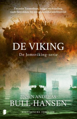 Cover of the book De viking by Rosie Walsh