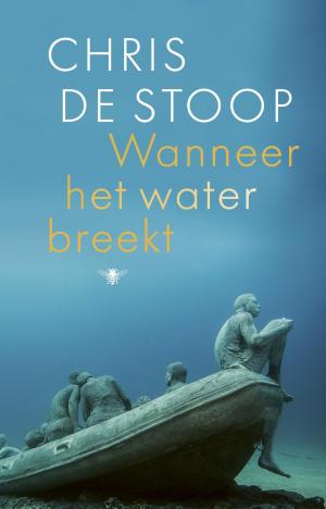 Cover of the book Wanneer het water breekt by Tomas Ross