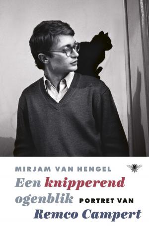 Cover of the book Een knipperend ogenblik by Georges Simenon