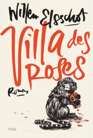 Cover of the book Villa des Roses by RK Wheeler