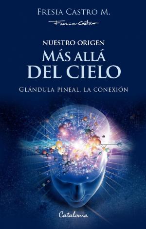Cover of the book Nuestro origen: Más allá del cielo by Jorge Arrate