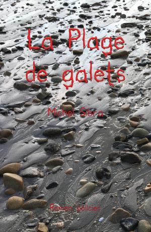 Cover of the book La Plage des galets by Alex Evans