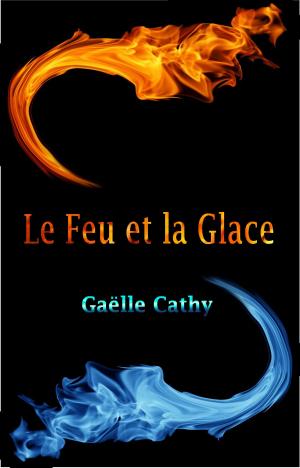 Cover of Le Feu et la Glace