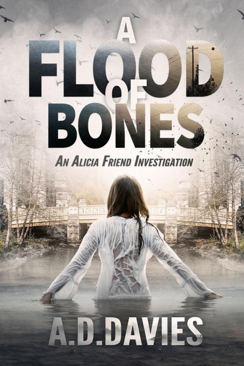Cover of the book A Flood of Bones by A. D. Davies, Crater of the North Publishing