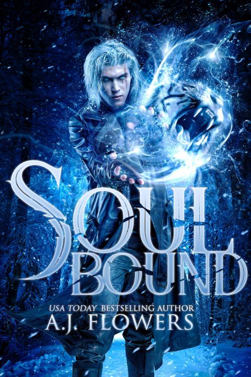 Cover of the book Soul Bound by A.J. Flowers, FCC Books