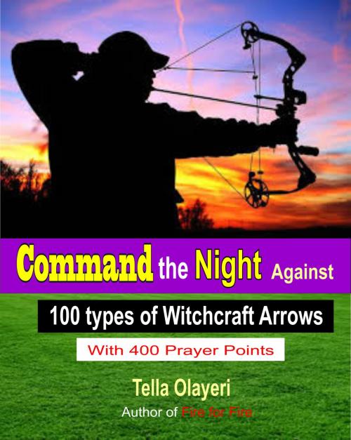 Cover of the book Command the Night Against 100 types of Witchcraft Arrows by Tella Olayeri, God's Link Ventures