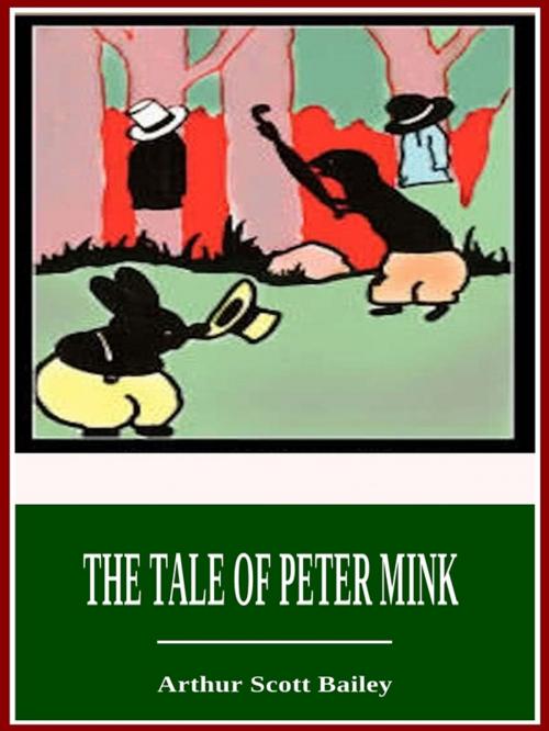 Cover of the book The Tale of Peter Mink by Arthur Scott Bailey, 3N CLASSIC COLLECTION