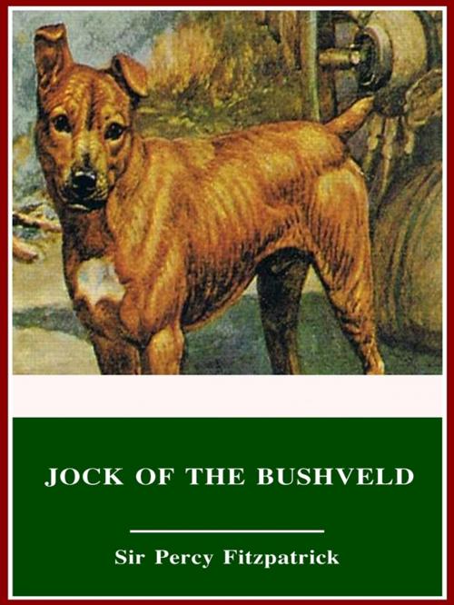 Cover of the book Jock of the Bushveld by Sir Percy Fitzpatrick, 3N CLASSIC COLLECTION