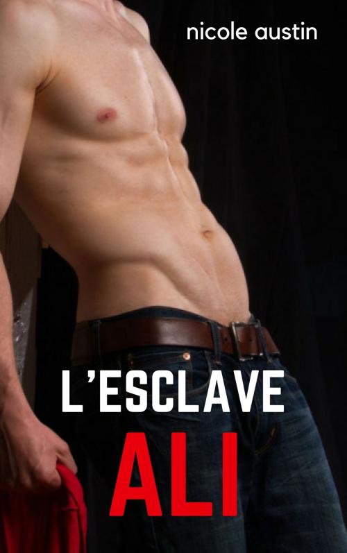 Cover of the book L'esclave Ali by Nicole Austin, NA Edition