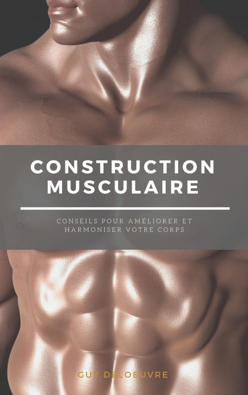 Cover of the book Construction musculaire by Guy Deloeuvre, Guy Deloeuvre