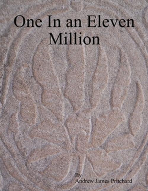 Cover of the book One In An Eleven Million by Andrew  James Pritchard, Cheeky Bugger Publications